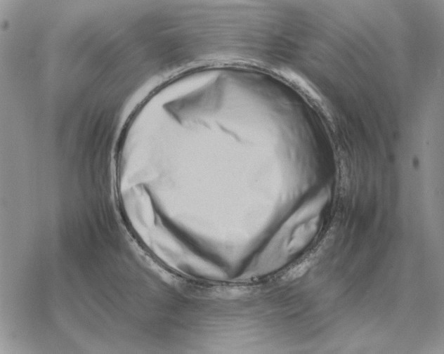 X0000077341286200611171823