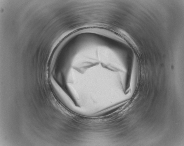 X0000077341292200611171823