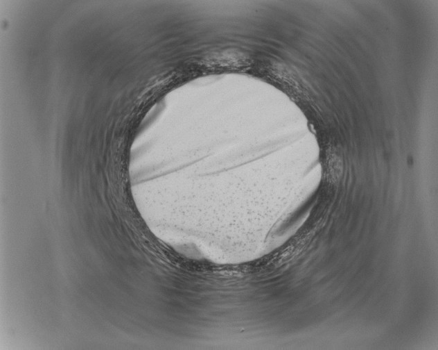 X0000077341297200611171822