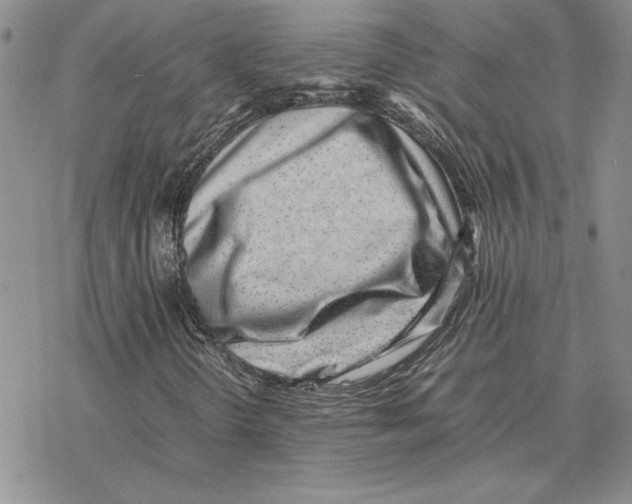 X0000077341298200611171822