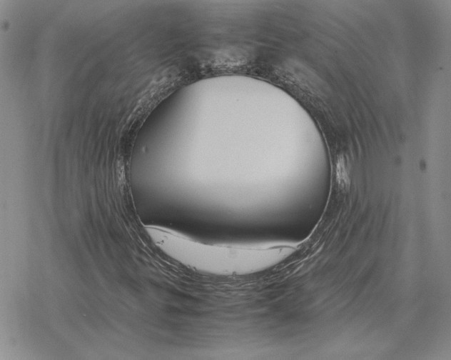 X0000077341299200611171822
