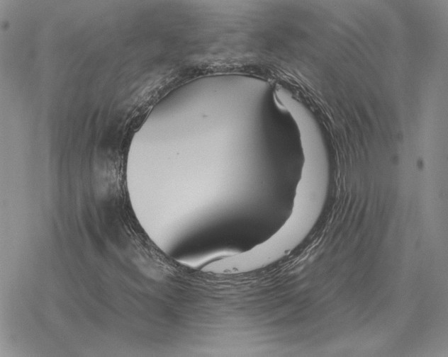 X0000077341300200611171822