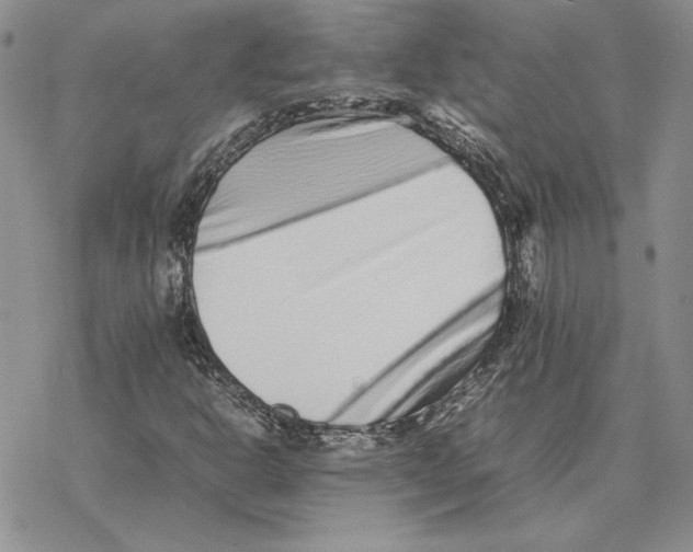 X0000077341302200611171822