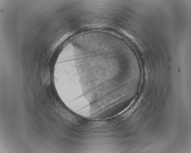 X0000077341306200611171822
