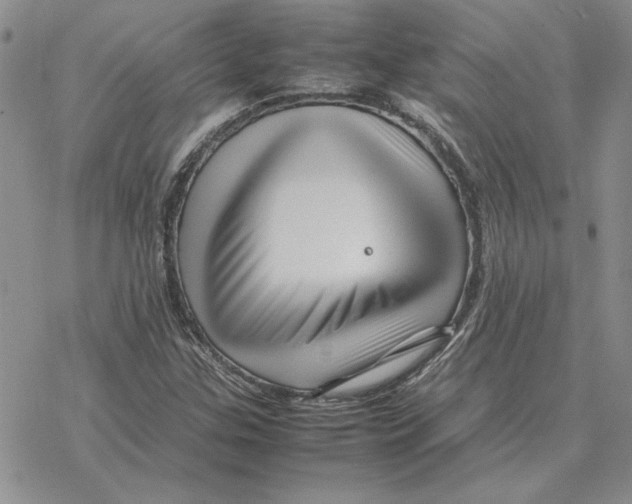 X0000077341307200611171822