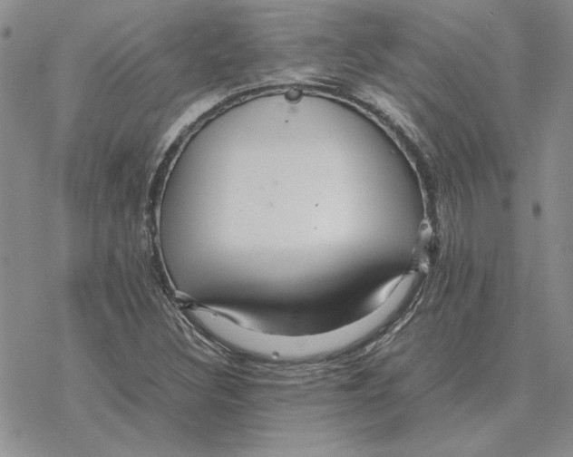 X0000077341308200611171822
