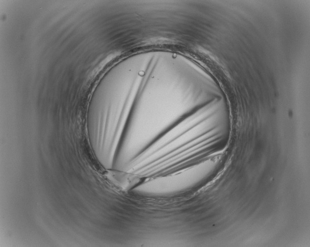 X0000077341313200611171822
