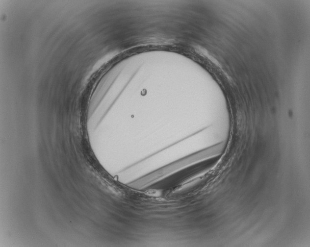 X0000077341315200611171822