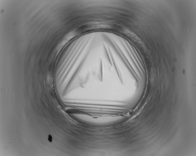 X0000077341321200611171823