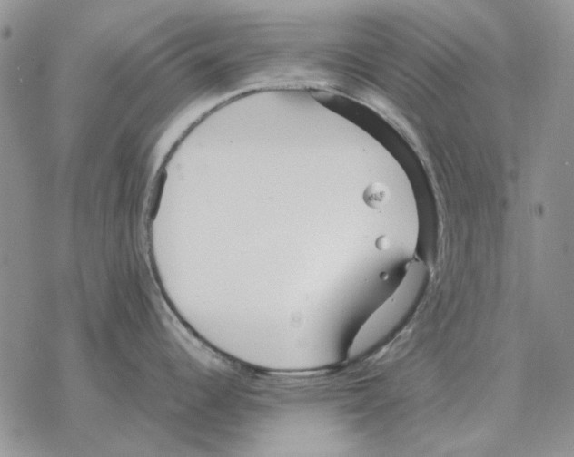 X0000077341344200611171823