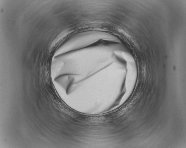 X0000077341354200611171822