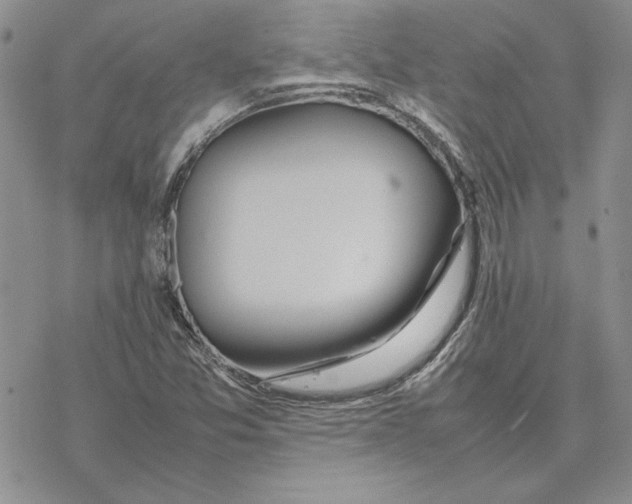 X0000077341357200611171822