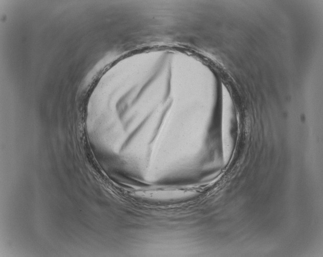 X0000077341359200611171822