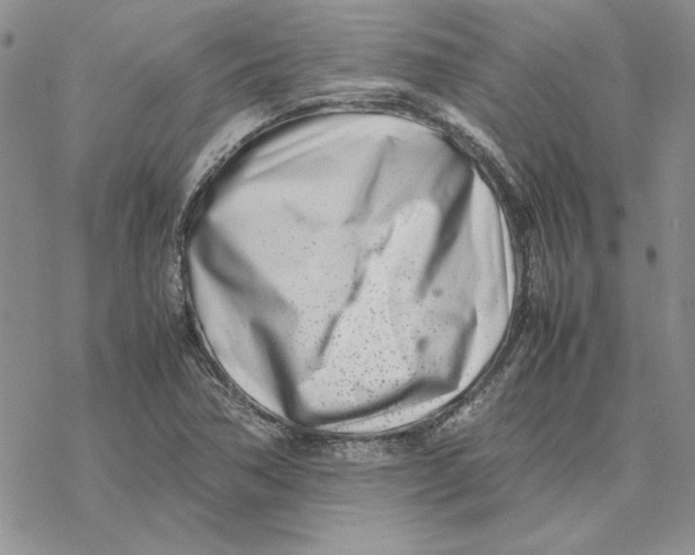 X0000077341362200611171822