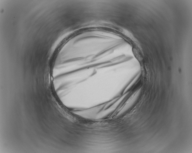 X0000077341368200611171822