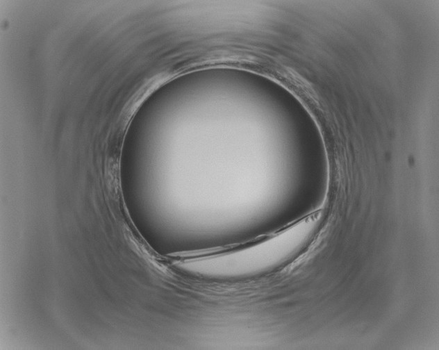 X0000077341369200611171822