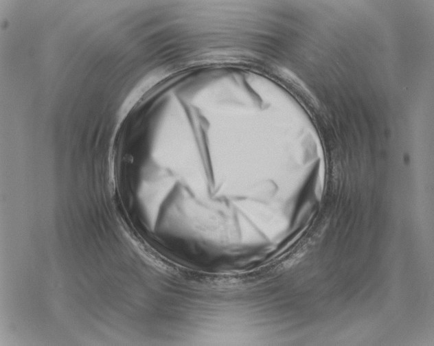 X0000077341370200611171822