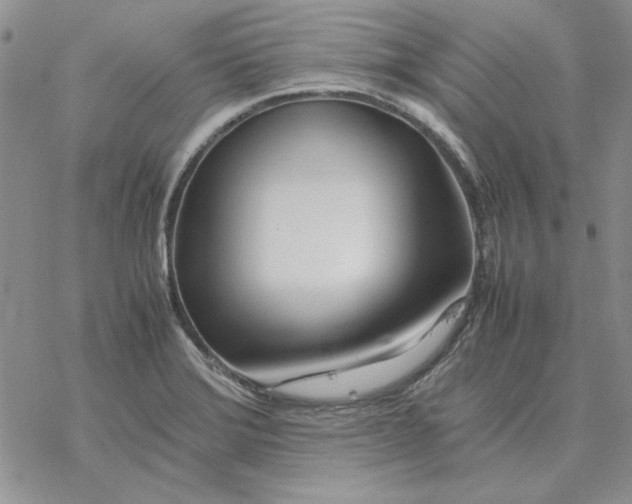 X0000077341372200611171822