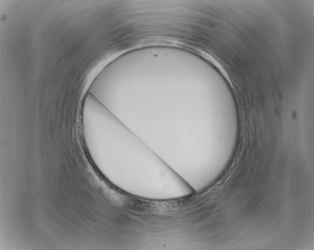 X0000077341379200611171822