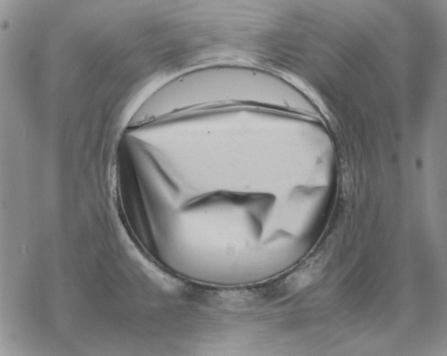 X0000077341383200611171822