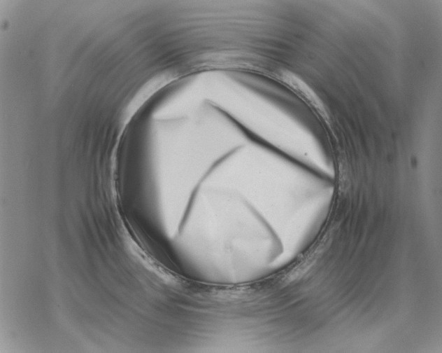 X0000077341386200611171821