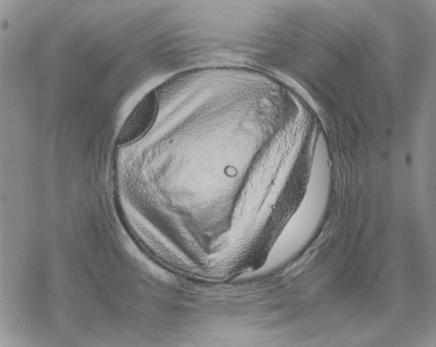 X0000077341387200611171821
