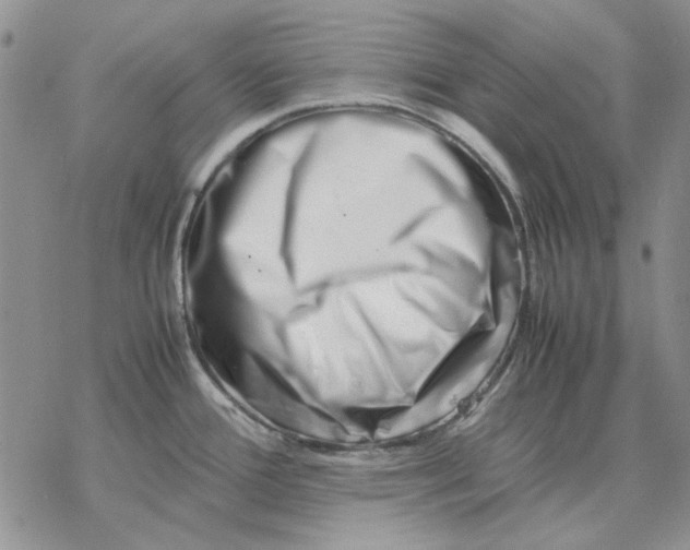 X0000077341388200611171821