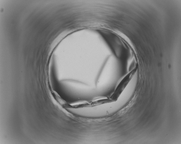 X0000077341389200611171821