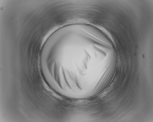 X0000077341390200611171821