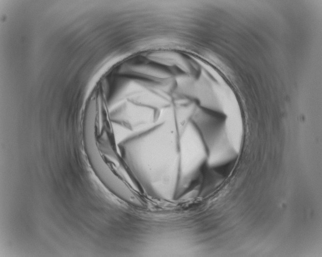 X0000077341392200611171821
