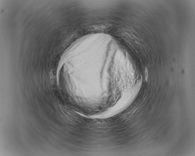 X0000077341395200611171821