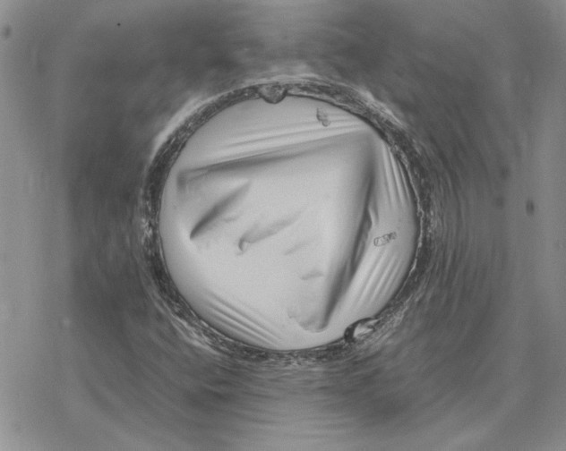 X0000077341400200611171821
