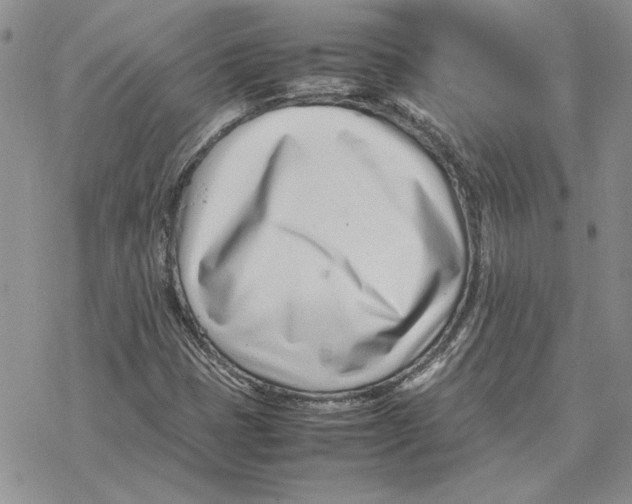 X0000077341401200611171821