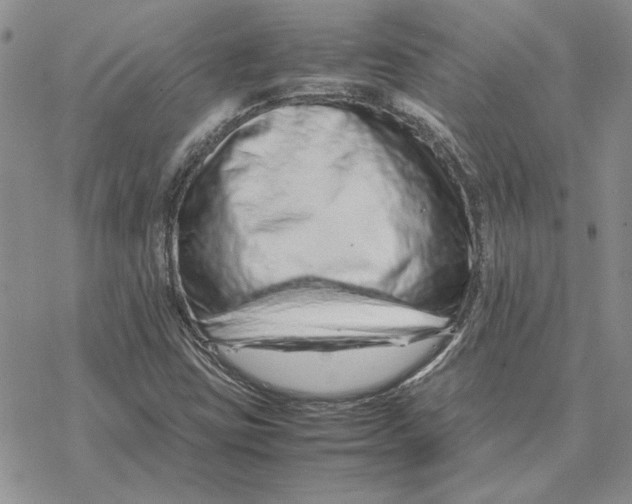 X0000077341403200611171821