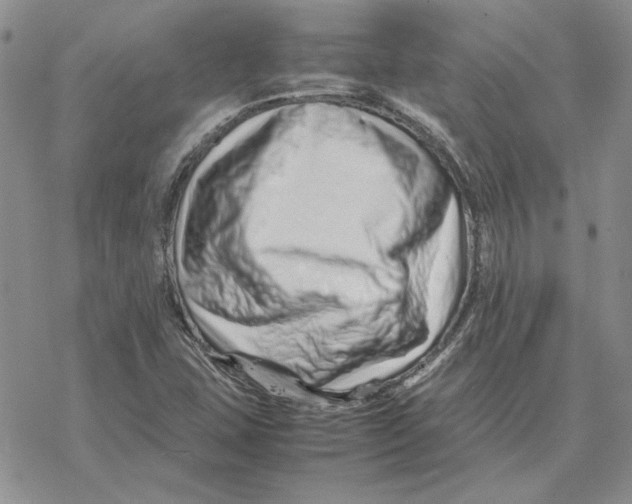 X0000077341407200611171821