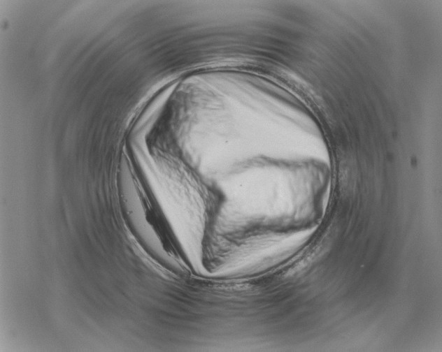 X0000077341417200611171821