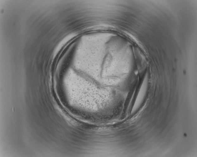 X0000077341418200611171821