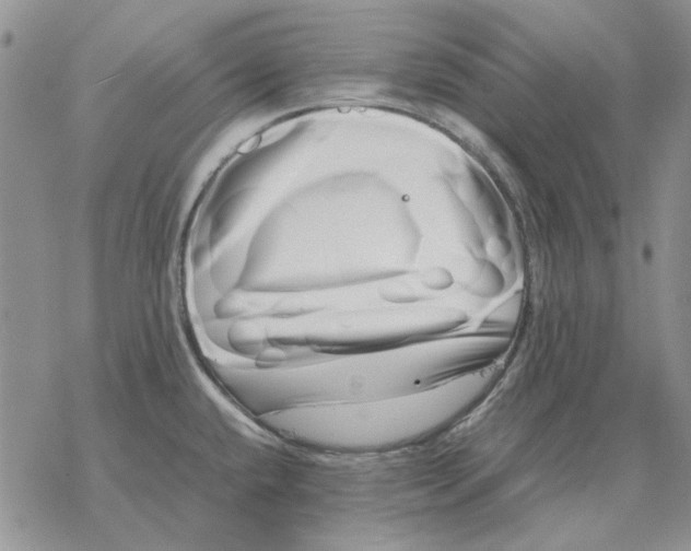X0000077341432200611171821