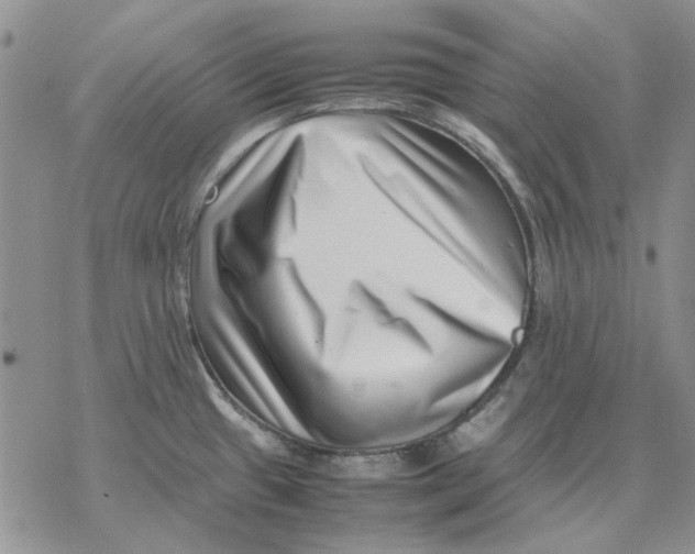 X0000077341433200611171821