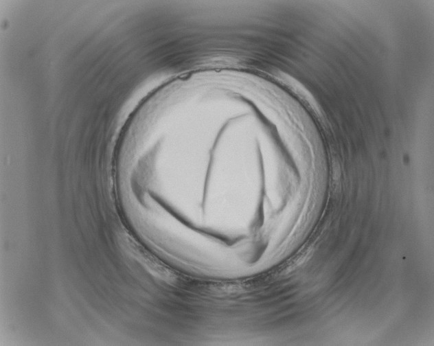 X0000077341435200611171821