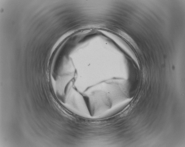 X0000077341436200611171821
