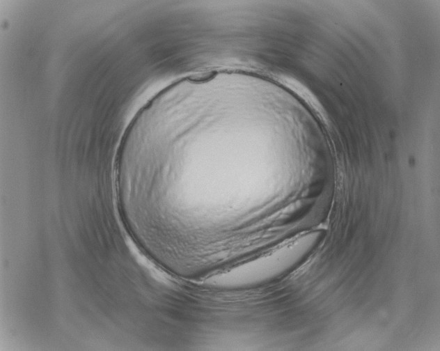 X0000077341439200611171821