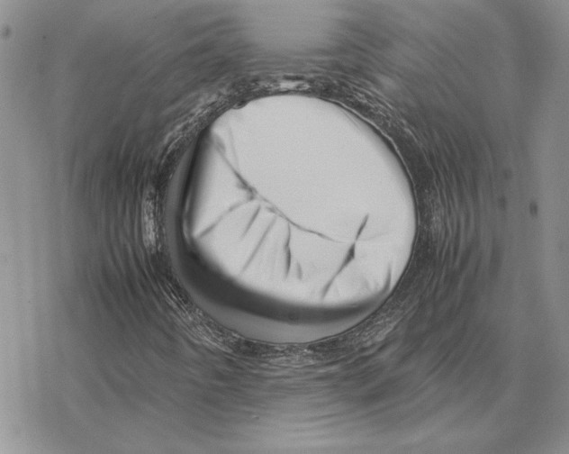 X0000077341442200611171821