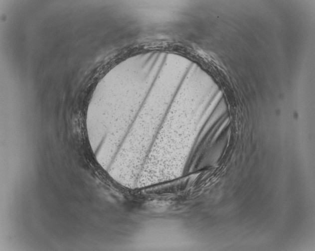 X0000077341445200611171821
