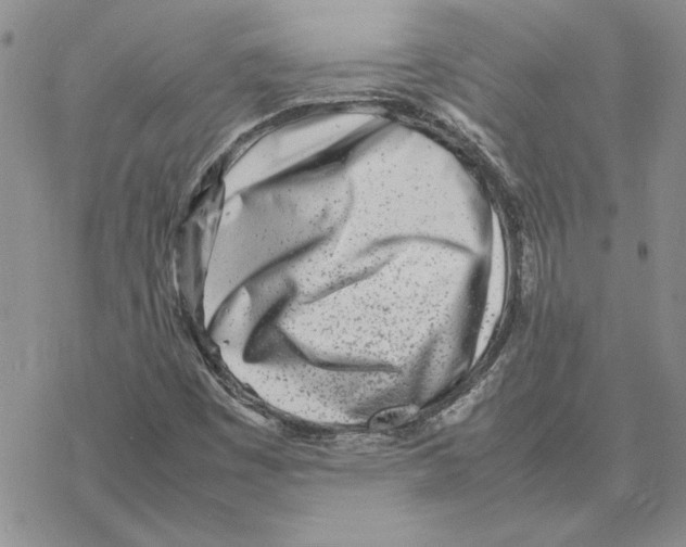 X0000077341449200611171820