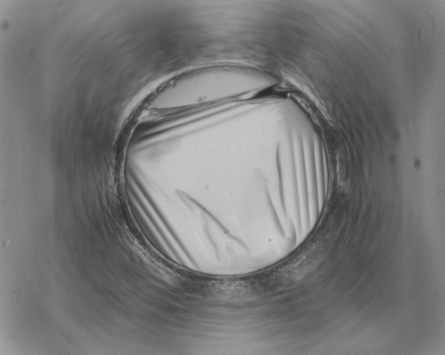 X0000077341452200611171820