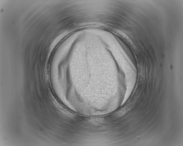 X0000077341466200611171820