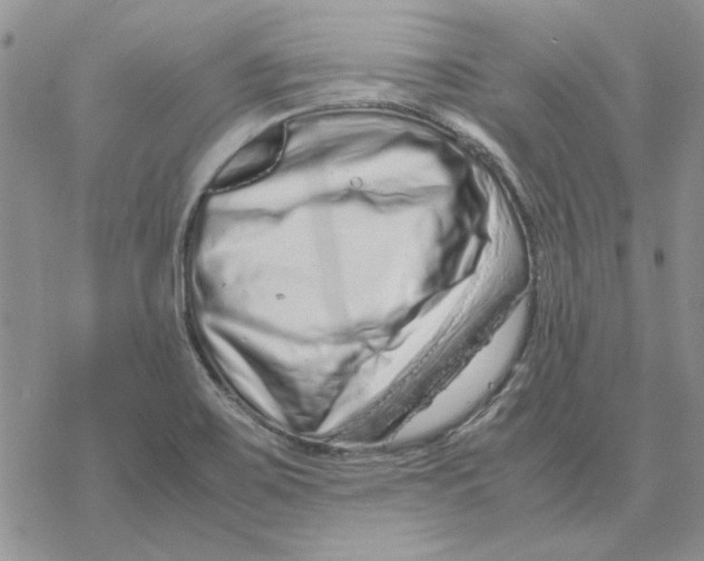 X0000077341467200611171820