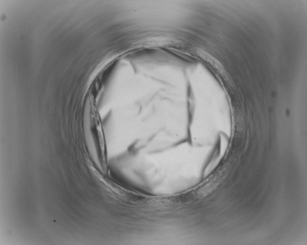 X0000077341473200611171820