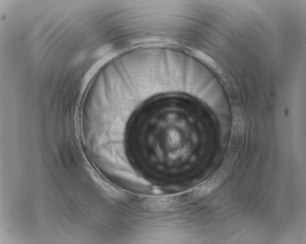 X0000077341474200611171820